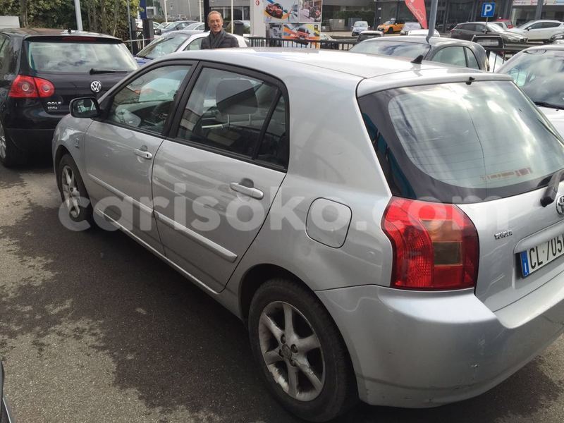 Big with watermark image