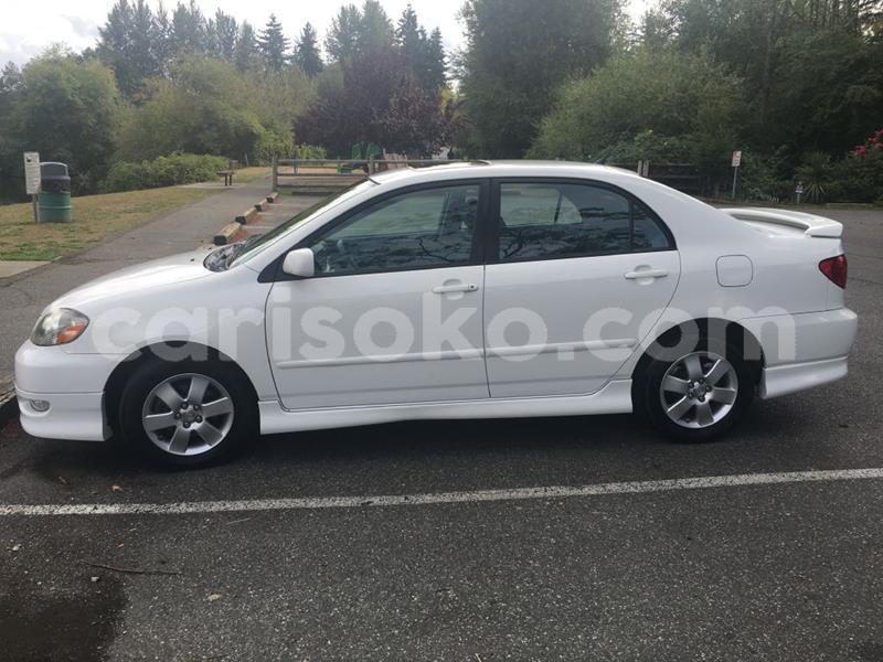 Big with watermark jam1