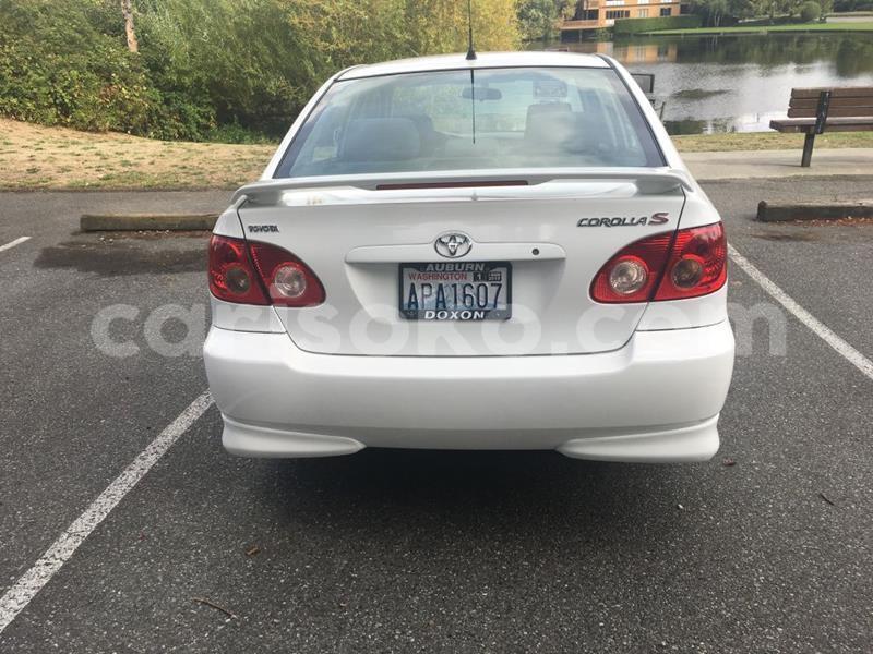 Big with watermark jam4