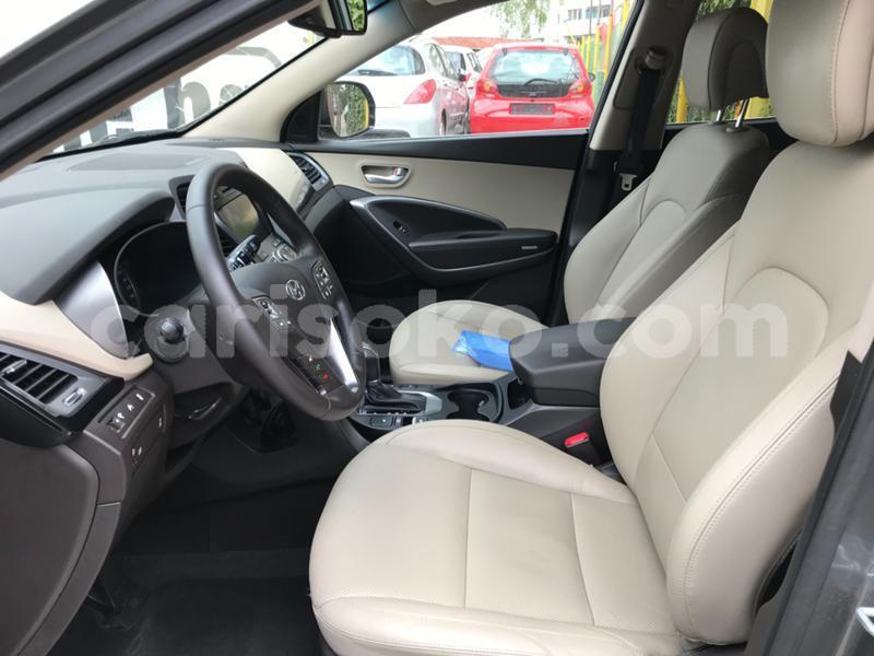 Big with watermark 21561801617481911 nz