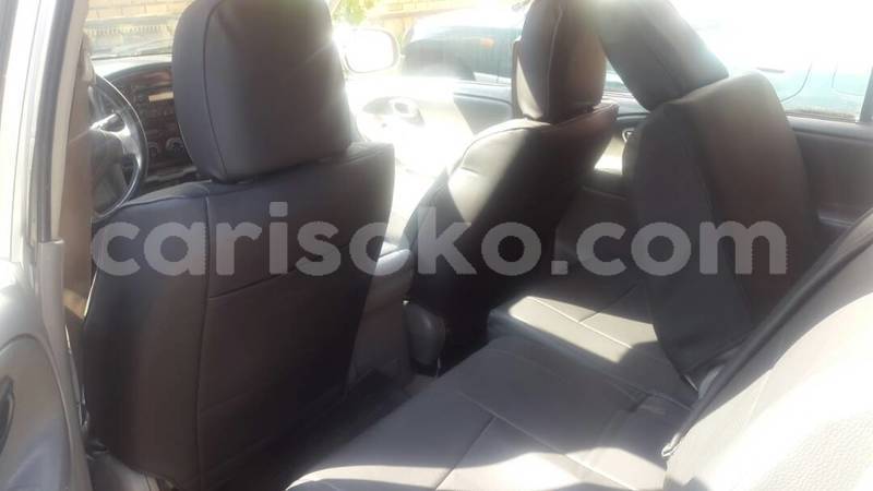 Big with watermark whatsapp image 2018 03 16 at 15.02.08 2 