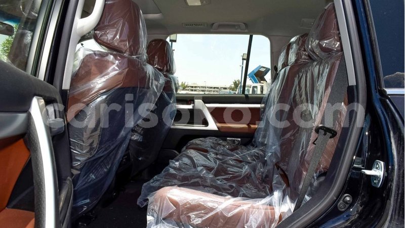 Big with watermark 7