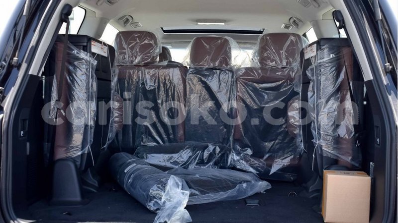 Big with watermark 8