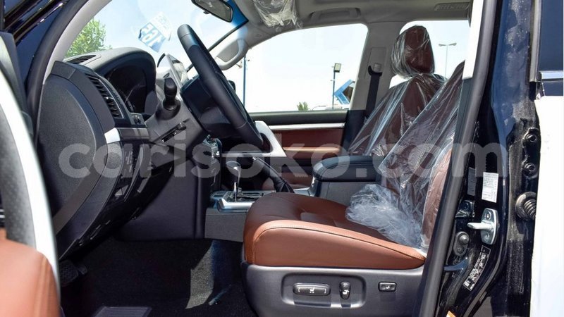 Big with watermark 12