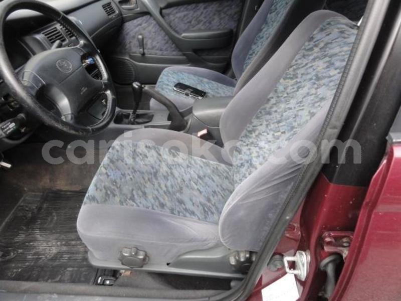 Big with watermark 640x480 20