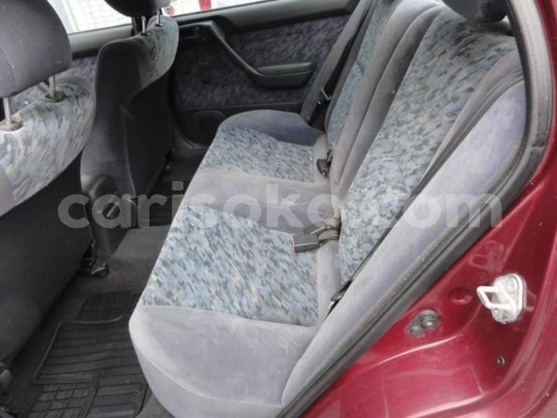 Big with watermark 640x480 21