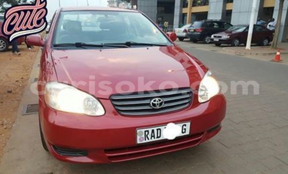 Buy Used Toyota Corolla Red Car in Kigali in Rwanda Buy Used Toyota Corolla Red Car in Kigali in Rwanda
