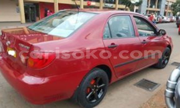 Buy Used Toyota Corolla Red Car in Kigali in Rwanda Buy Used Toyota Corolla Red Car in Kigali in Rwanda