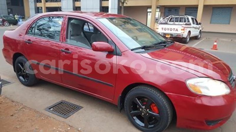 Big with watermark 67713532 236343064009945 8620991741035544576 n