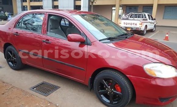 Buy Used Toyota Corolla Red Car in Kigali in Rwanda Buy Used Toyota Corolla Red Car in Kigali in Rwanda