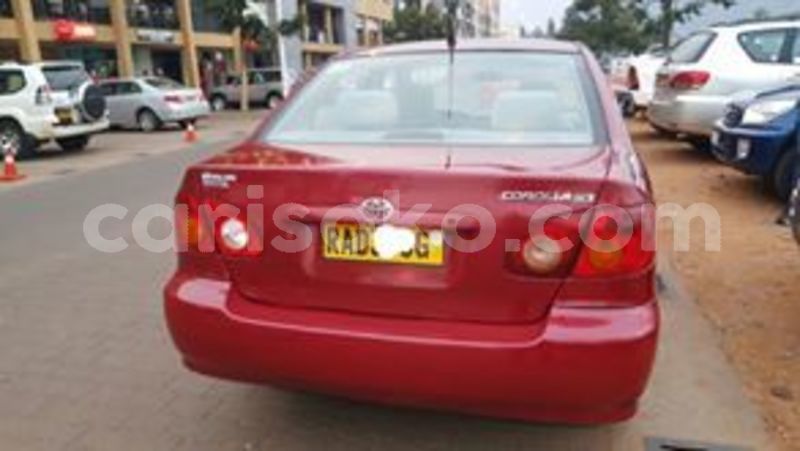 Big with watermark 67819545 236343100676608 3864118725443584000 n