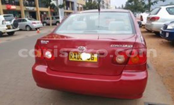 Buy Used Toyota Corolla Red Car in Kigali in Rwanda Buy Used Toyota Corolla Red Car in Kigali in Rwanda