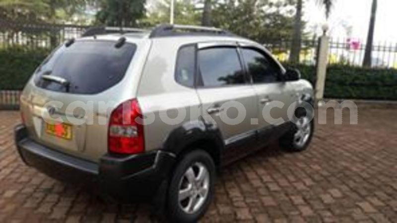 Big with watermark 67520896 236329820677936 7888482684995895296 n