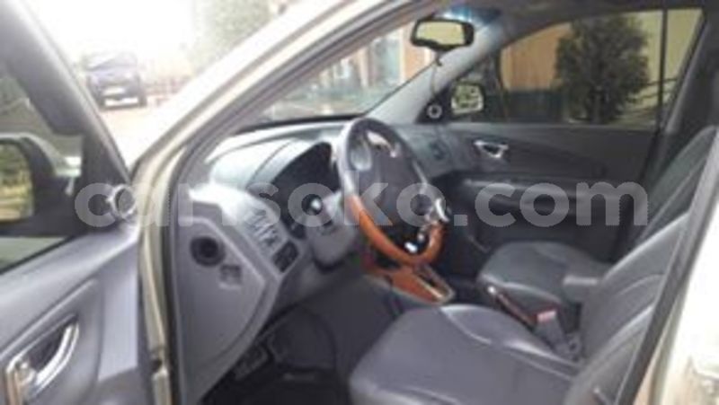 Big with watermark 67637563 236329857344599 7933035853931085824 n