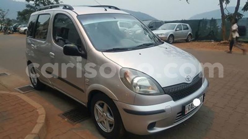 Big with watermark 67757079 236259244018327 8935488633931038720 n