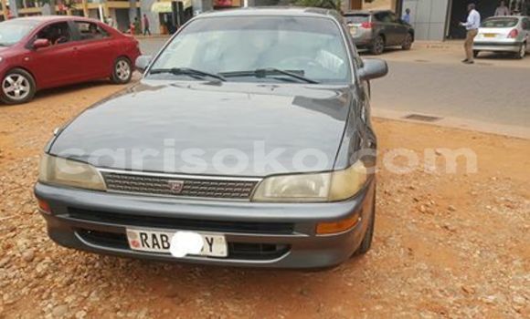 Buy Used Toyota Corolla Other Car in Kigali in Rwanda Buy Used Toyota Corolla Other Car in Kigali in Rwanda
