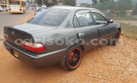 Buy Used Toyota Corolla Other Car in Kigali in Rwanda Buy Used Toyota Corolla Other Car in Kigali in Rwanda