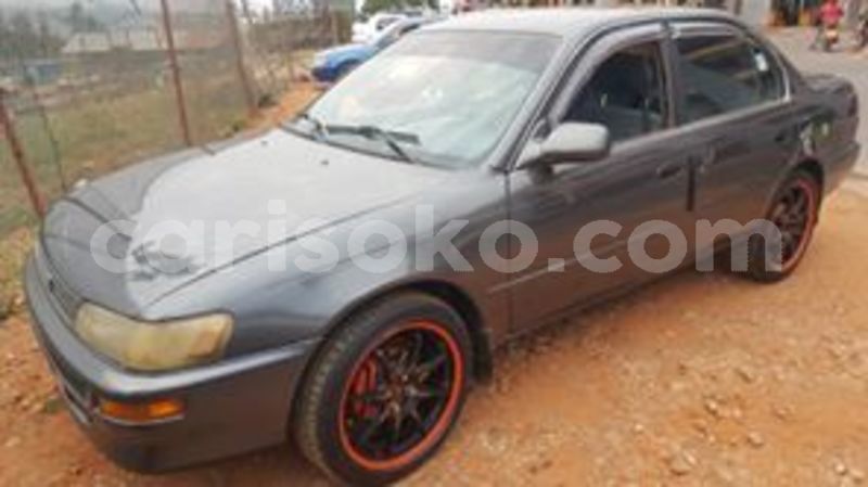 Big with watermark 67445525 236231027354482 5273549193229631488 n