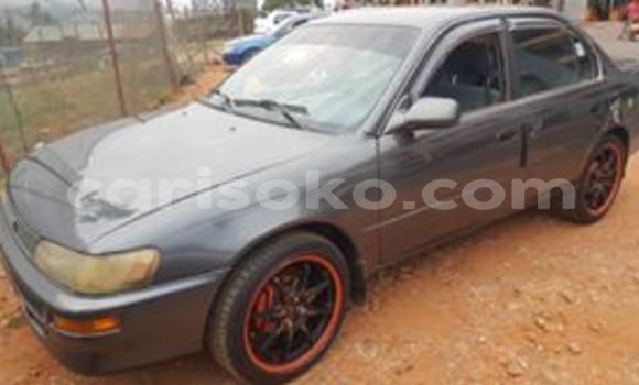 Buy Used Toyota Corolla Other Car in Kigali in Rwanda Buy Used Toyota Corolla Other Car in Kigali in Rwanda