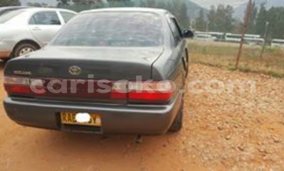 Buy Used Toyota Corolla Other Car in Kigali in Rwanda Buy Used Toyota Corolla Other Car in Kigali in Rwanda