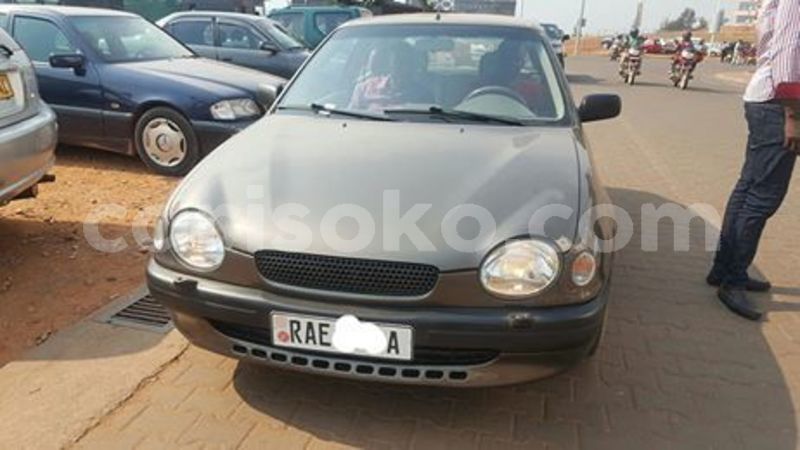 Big with watermark 67517606 236213654022886 8254315299050881024 n