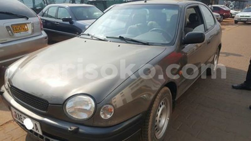 Big with watermark 67402574 236213677356217 9149236520459173888 n