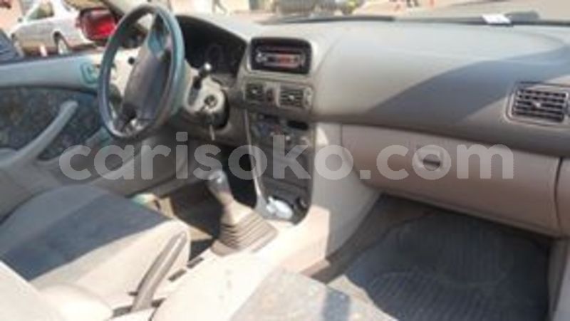 Big with watermark 67944036 236213724022879 8716619879370719232 n