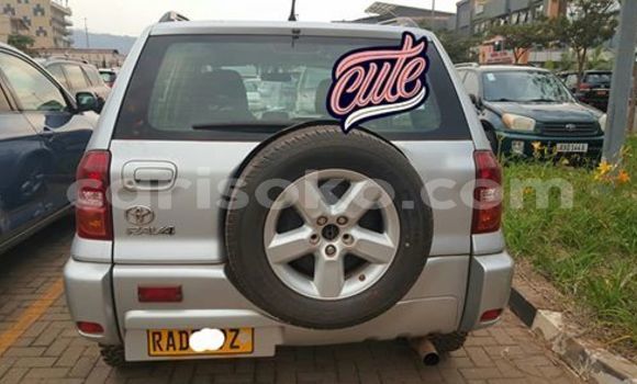 Buy Used Toyota RAV4 Silver Car in Kigali in Rwanda Buy Used Toyota RAV4 Silver Car in Kigali in Rwanda