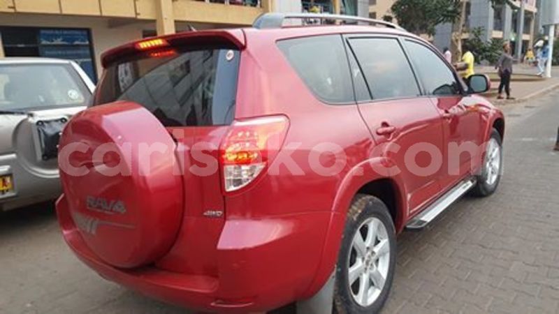 Big with watermark 67410072 236049990705919 2573807423265439744 n