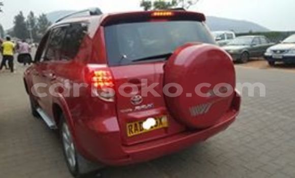 Buy Used Toyota RAV4 Red Car in Kigali in Rwanda Buy Used Toyota RAV4 Red Car in Kigali in Rwanda