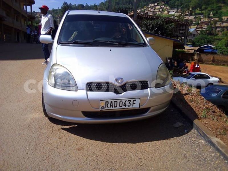 Big with watermark 29542002 10215773253583322 1498629226850078701 n