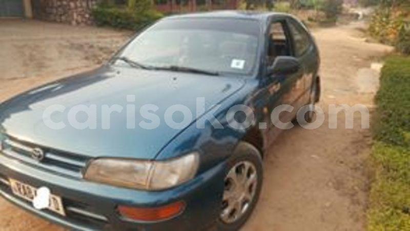 Big with watermark 67358623 235817624062489 3927417081573670912 n