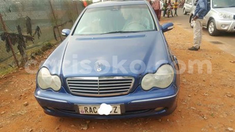 Big with watermark 67367464 235520880758830 9202562808636506112 n