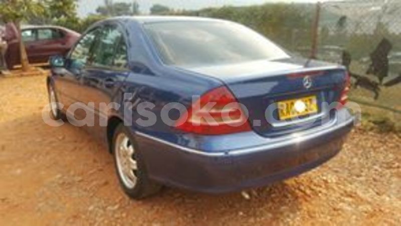 Big with watermark 67238972 235520924092159 9030034784105005056 n