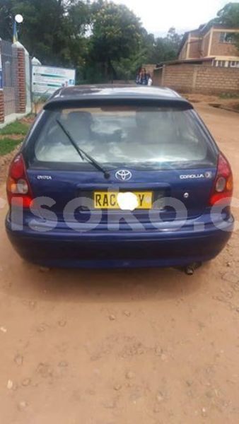 Big with watermark 67311137 235502534093998 2900694291787546624 n