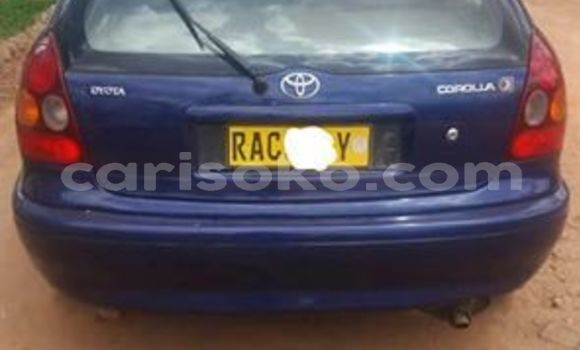 Buy Used Toyota Corolla Blue Car in Kigali in Rwanda Buy Used Toyota Corolla Blue Car in Kigali in Rwanda