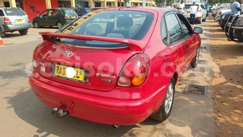 Big with watermark 67224156 235262080784710 3091074854691012608 n