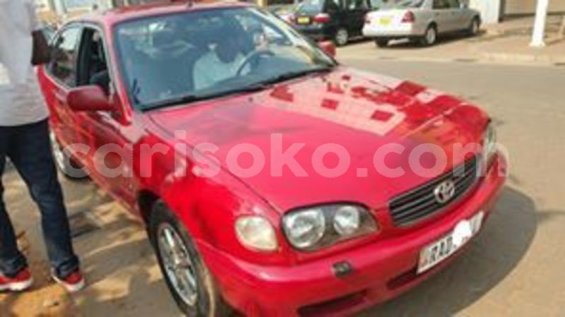 Big with watermark 67224811 235262097451375 7652252607473254400 n