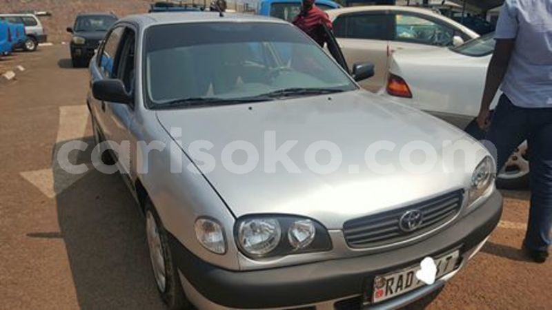 Big with watermark 67743865 235016477475937 494758310986121216 n