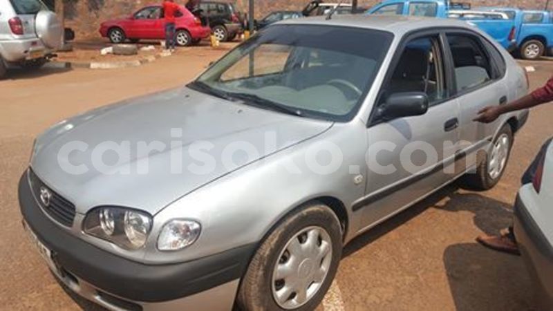 Big with watermark 67090299 235016494142602 8805172716215730176 n