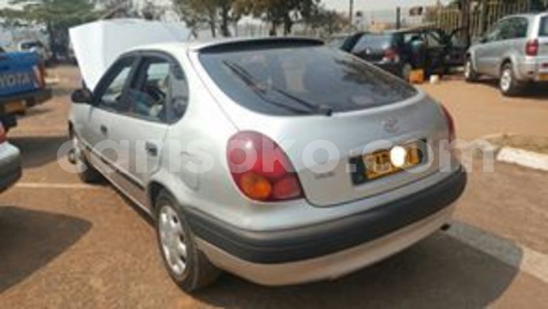 Big with watermark 67701543 235016527475932 2408640783700721664 n