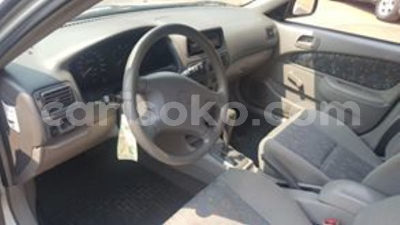 Big with watermark 67109153 235016547475930 2325729390693974016 n