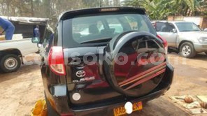 Big with watermark 67132800 234956254148626 8964233879380557824 n