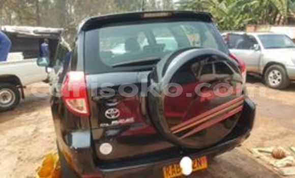 Buy Used Toyota RAV4 Black Car in Kigali in Rwanda Buy Used Toyota RAV4 Black Car in Kigali in Rwanda