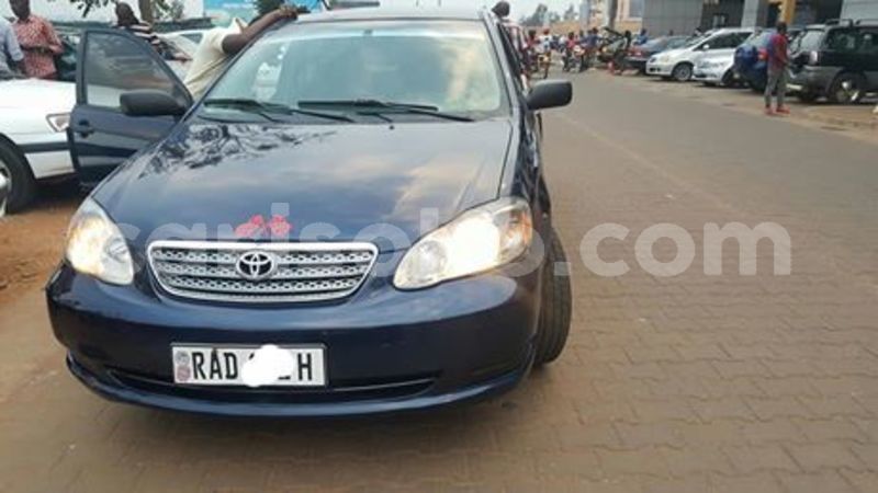 Big with watermark 67197669 234824174161834 732715390563516416 n