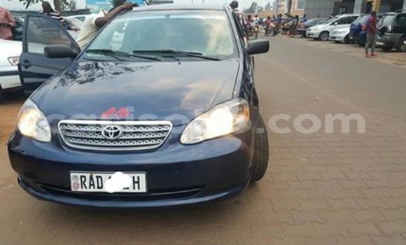 Buy Used Toyota Corolla Blue Car in Kigali in Rwanda Buy Used Toyota Corolla Blue Car in Kigali in Rwanda