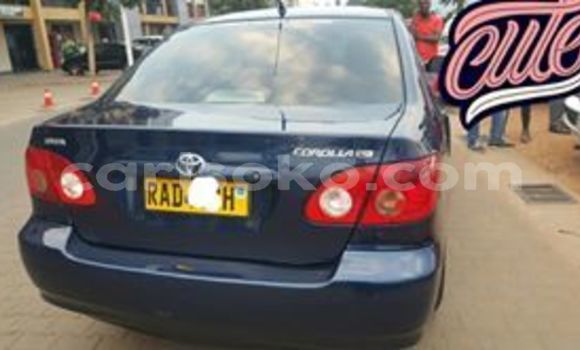 Buy Used Toyota Corolla Blue Car in Kigali in Rwanda Buy Used Toyota Corolla Blue Car in Kigali in Rwanda