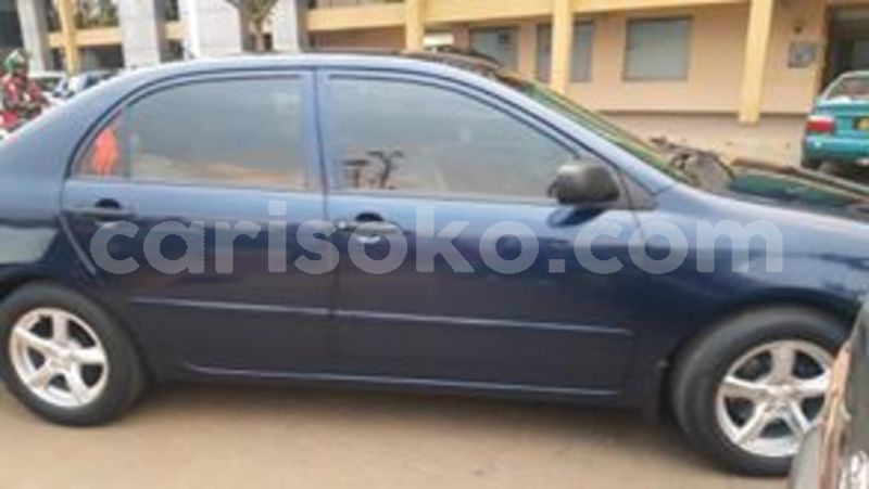 Big with watermark 67406216 234824227495162 7791471489881997312 n