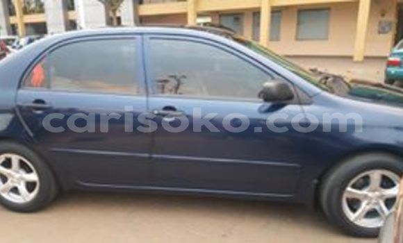 Buy Used Toyota Corolla Blue Car in Kigali in Rwanda Buy Used Toyota Corolla Blue Car in Kigali in Rwanda