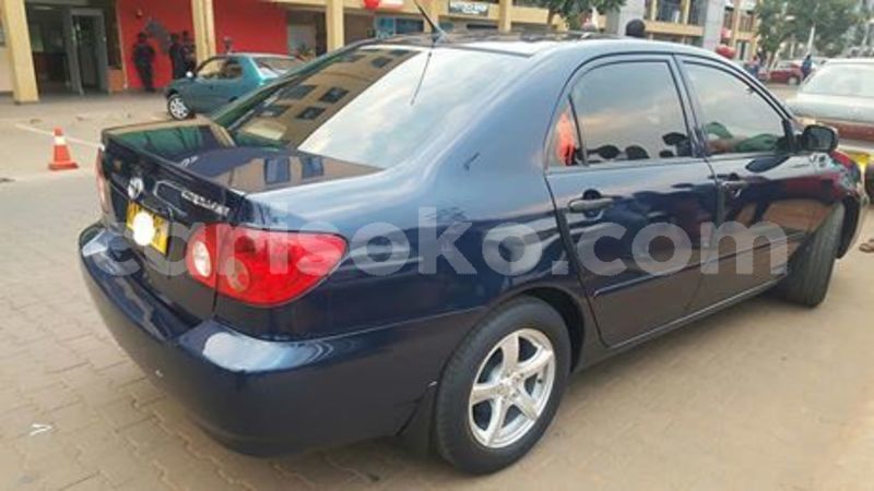 Big with watermark 67117749 234824190828499 6555349910336569344 n